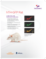 Show details for hTH-GFP Data Sheet US 2PP - 9439 