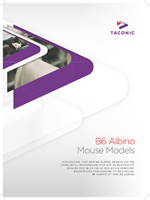 Show details for B6 Albino