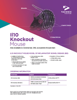 Show details for IL Knockout Mouse Flyer US 2PP