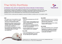 Show details for The NOG Portfolio Post Card